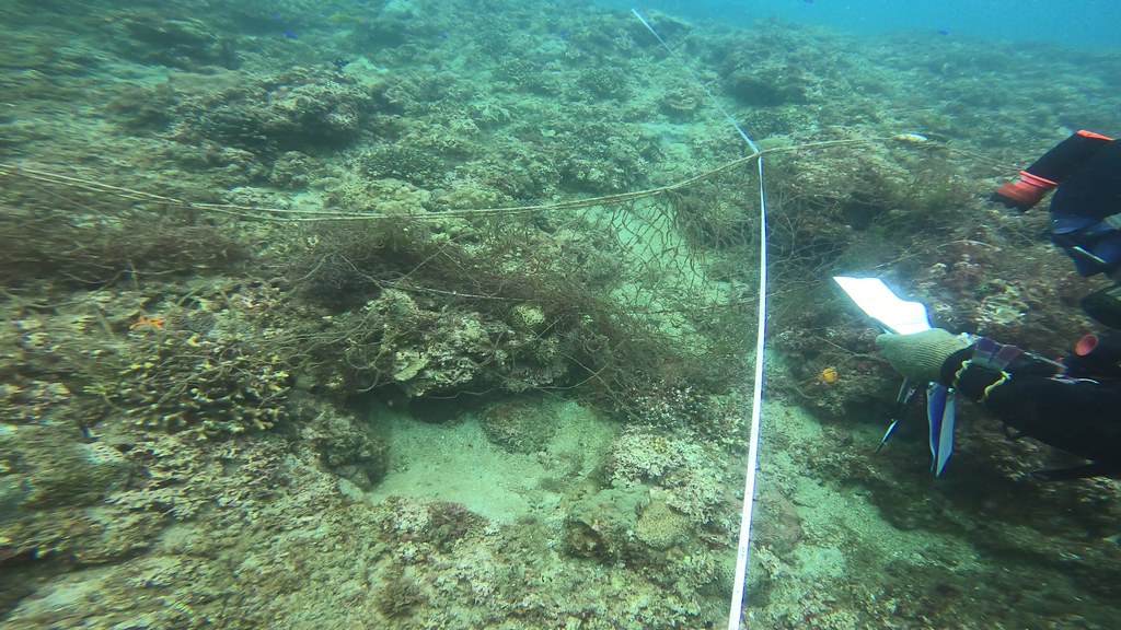 台灣海底垃圾調查，廢棄魚網仍佔大宗。.jpg