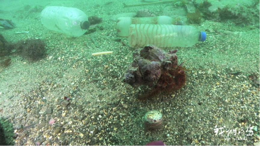 台灣周遭海域的海底垃圾。.png