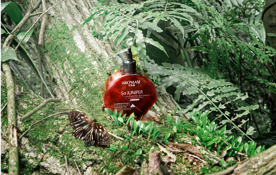 圖三、ROMASE 「5α捷利爾頭皮淨化液(CC) 260Ml」獲2024台灣精品獎-時尚生活精品類.png