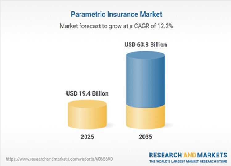 Parametric Insurance Market.jpg