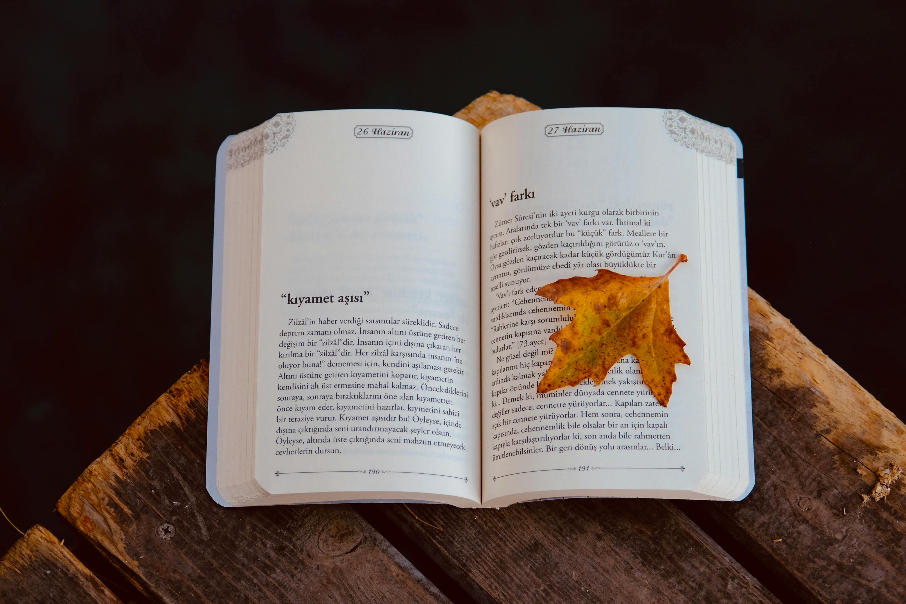 第17屆中小企業創新研究獎得獎專輯