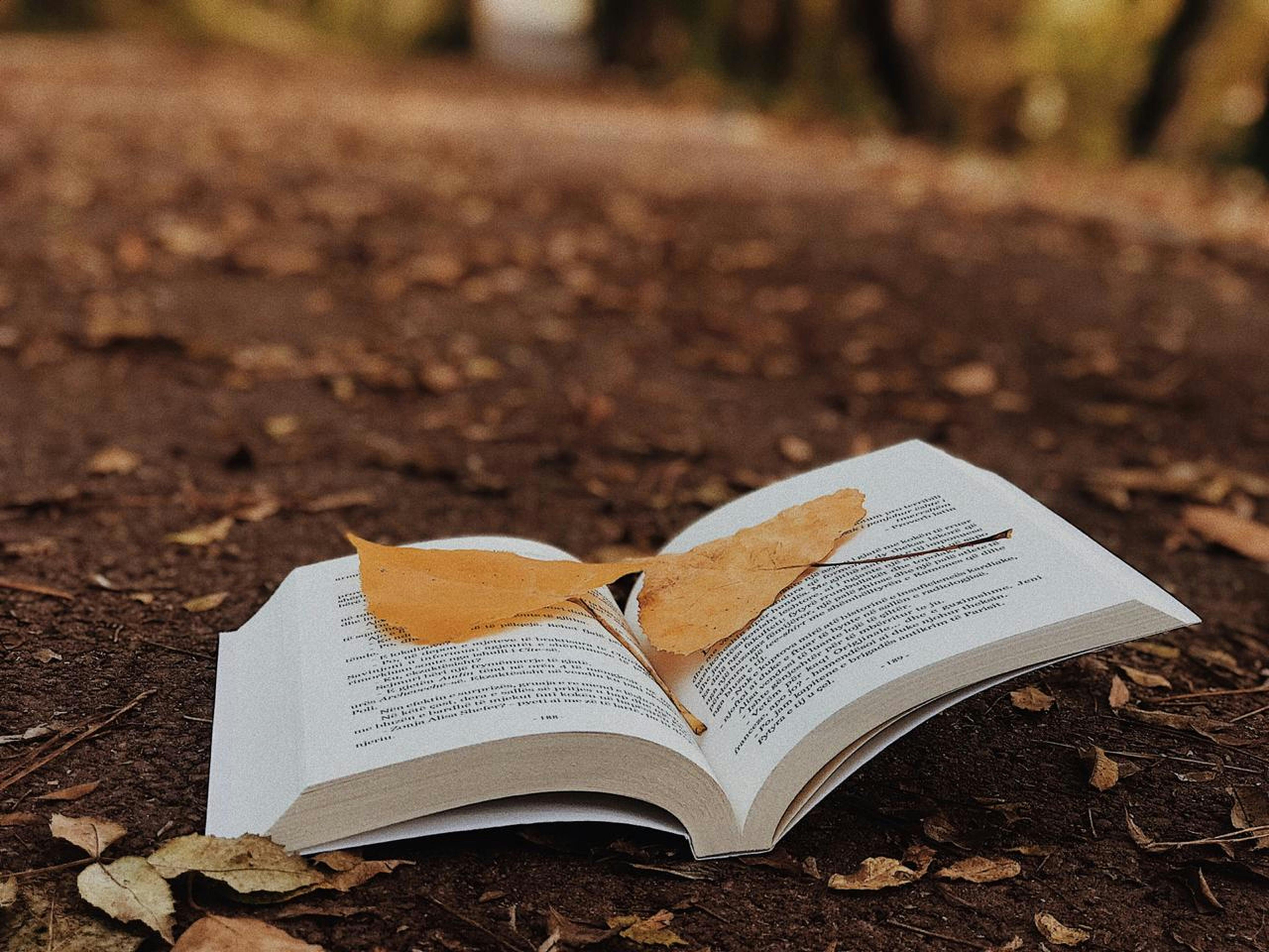 第26屆中小企業創新研究獎得獎專輯