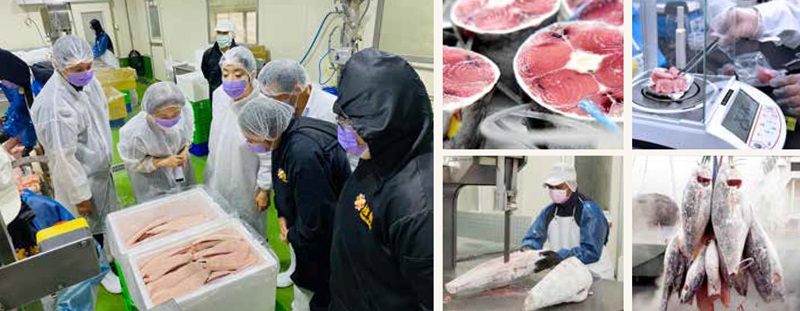 智慧化鮪魚加工與管理