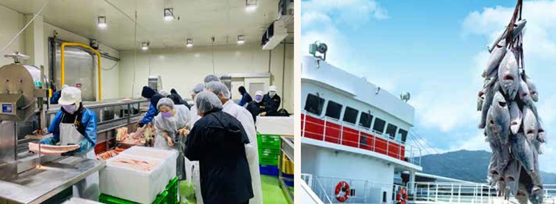 洪慧惠董事長帶領團隊上岸轉型